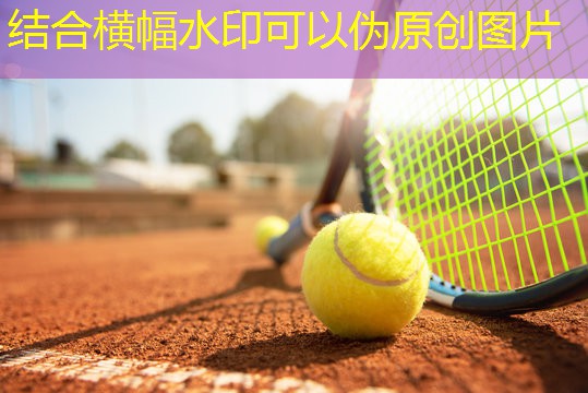 河北硅pu球场价格
