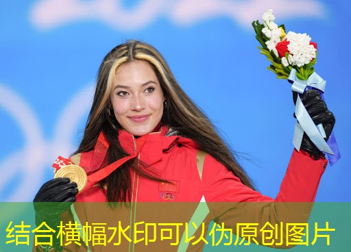 健身房一次练几个器材
