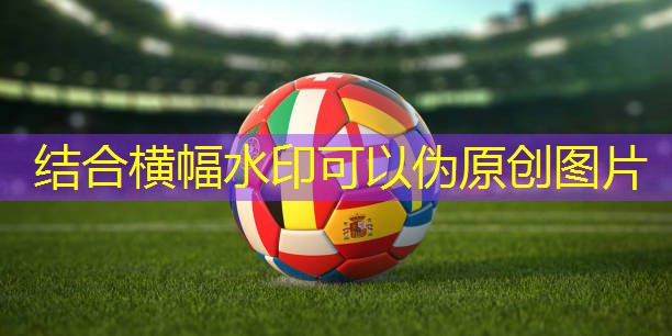 潜江硅pu球场