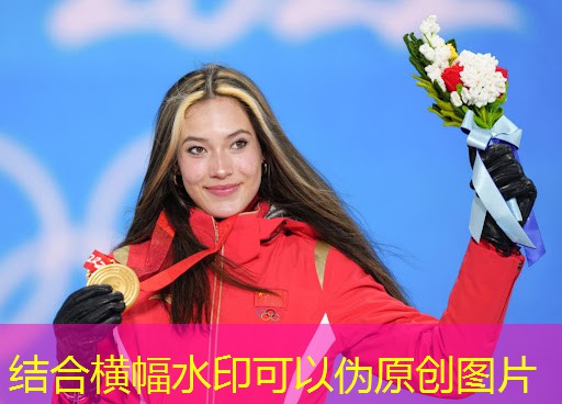 简易高拉器材