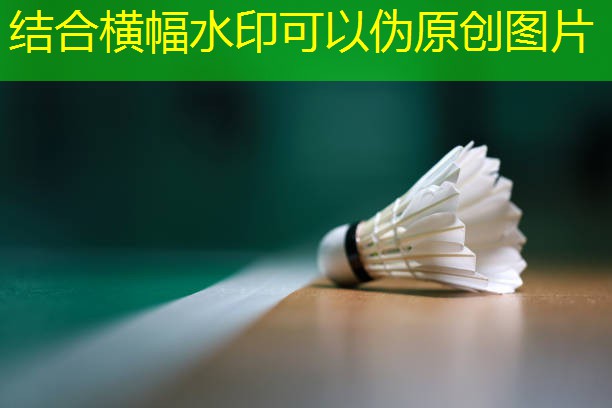 国际标枪赛事中的高水平运动员   以标枪为武器征服赛场