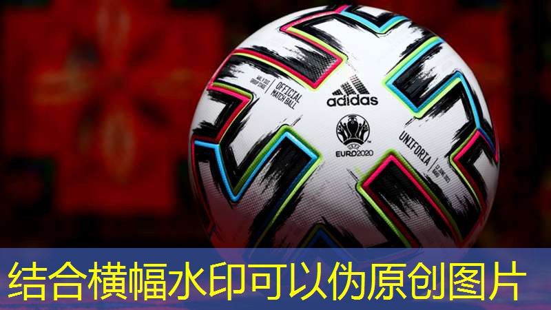 室内健身操65岁