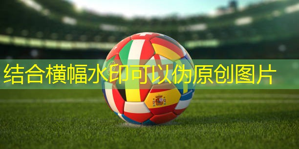 孝感硅pu球场施工