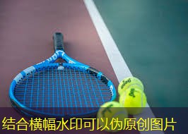 健身器材先从什么入手室内