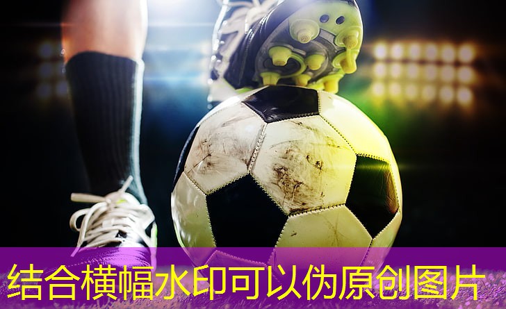 室内健身男士博主